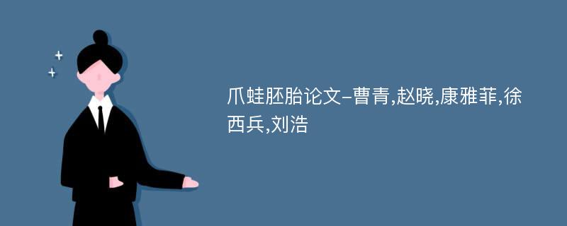 爪蛙胚胎论文-曹青,赵晓,康雅菲,徐西兵,刘浩