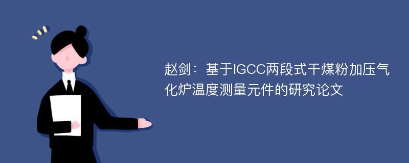 赵剑：基于IGCC两段式干煤粉加压气化炉温度测量元件的研究论文