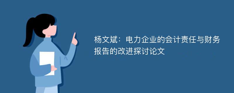 杨文斌：电力企业的会计责任与财务报告的改进探讨论文
