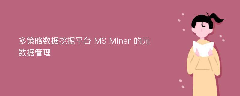 多策略数据挖掘平台 MS Miner 的元数据管理