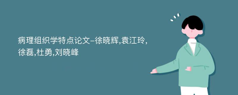 病理组织学特点论文-徐晓辉,袁江玲,徐磊,杜勇,刘晓峰
