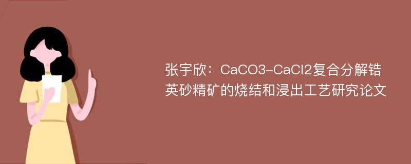 张宇欣：CaCO3-CaCl2复合分解锆英砂精矿的烧结和浸出工艺研究论文