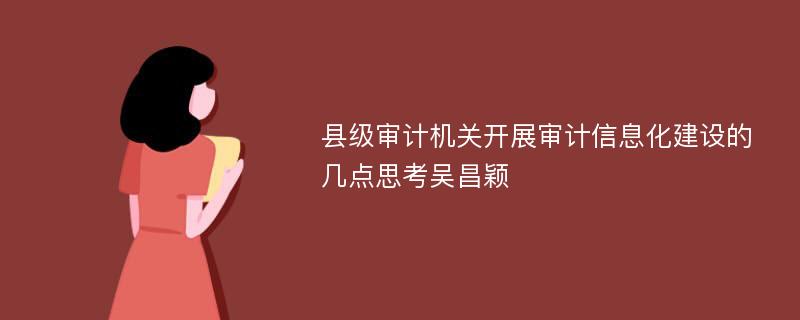 县级审计机关开展审计信息化建设的几点思考吴昌颖