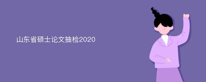 山东省硕士论文抽检2020