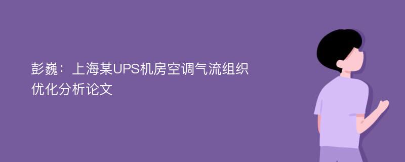 彭巍：上海某UPS机房空调气流组织优化分析论文