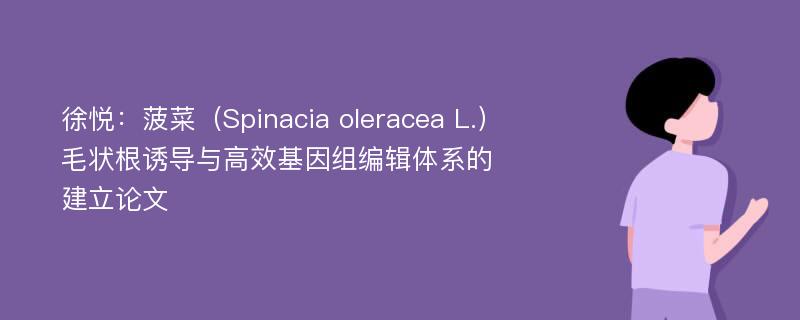 徐悦：菠菜（Spinacia oleracea L.）毛状根诱导与高效基因组编辑体系的建立论文