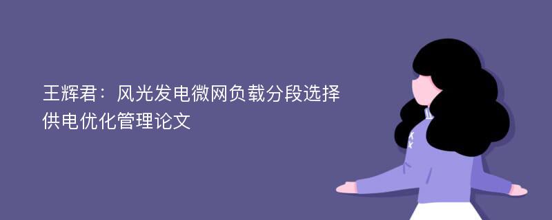 王辉君：风光发电微网负载分段选择供电优化管理论文