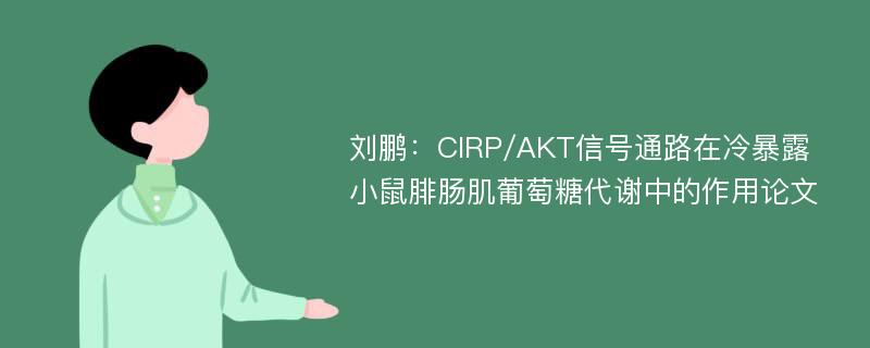 刘鹏：CIRP/AKT信号通路在冷暴露小鼠腓肠肌葡萄糖代谢中的作用论文